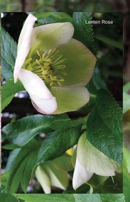 Cover of Lenten Rose