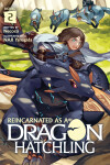 Book cover for Reincarnated as a Dragon Hatchling (Light Novel) Vol. 2