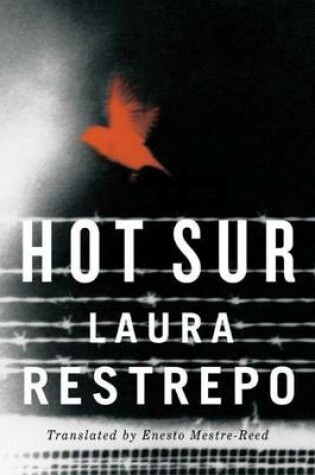 Cover of Hot Sur
