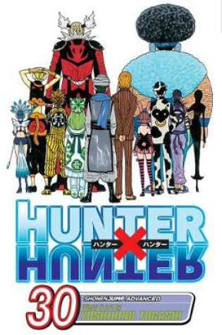Cover of Hunter x Hunter, Vol. 30