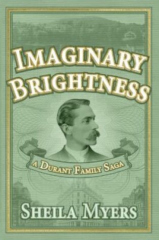 Cover of Imaginary Brightness