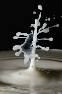 Book cover for Stop Motion Shot of a Splash of Milk