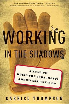 Book cover for Working in the Shadows