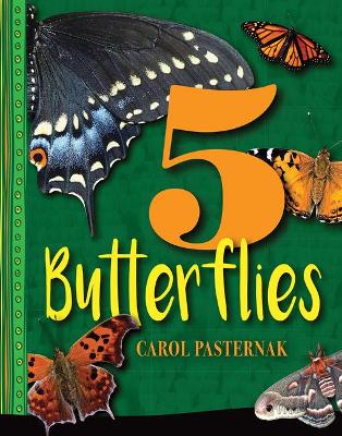 Cover of 5 Butterflies