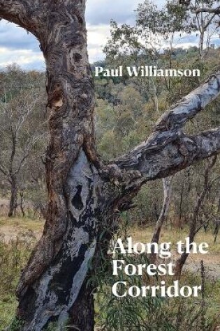 Cover of Along the Forest Corridor