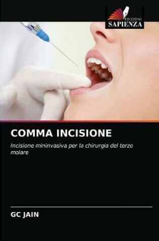 Cover of Comma Incisione