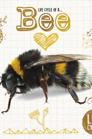 Cover of Honey Bee