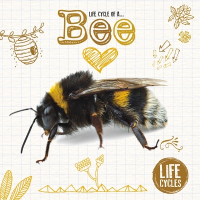 Cover of Honey Bee
