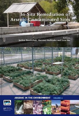 Book cover for In-Situ Remediation of Arsenic-Contaminated Sites