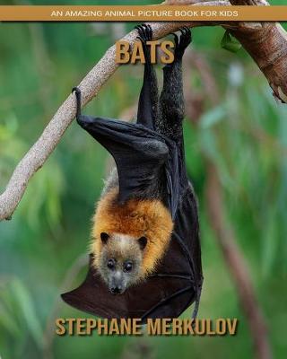 Book cover for Bats