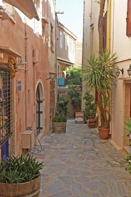 Book cover for Website Password Organizer a Narrow Alley in Crete, Greece