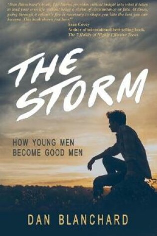 Cover of The Storm