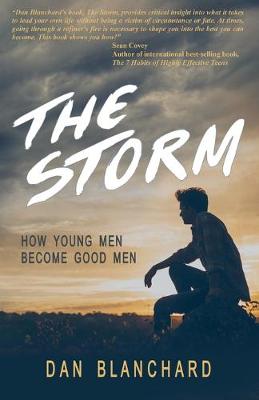 Book cover for The Storm