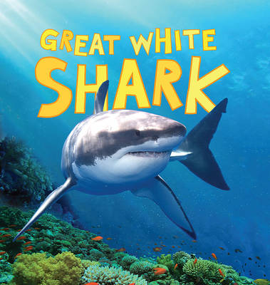 Book cover for Discover Sharks: Great White Shark