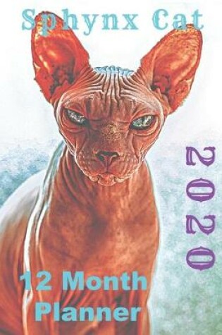 Cover of Sphynx Cat 2020 12 Month Planner