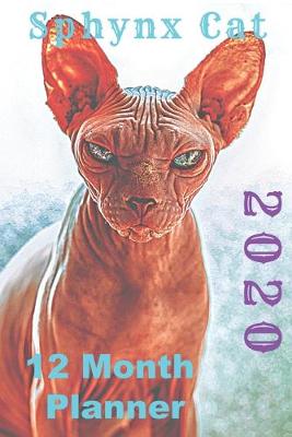 Book cover for Sphynx Cat 2020 12 Month Planner