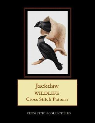 Book cover for Jackdaw