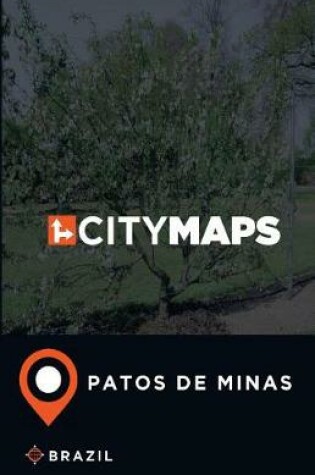 Cover of City Maps Patos de Minas Brazil