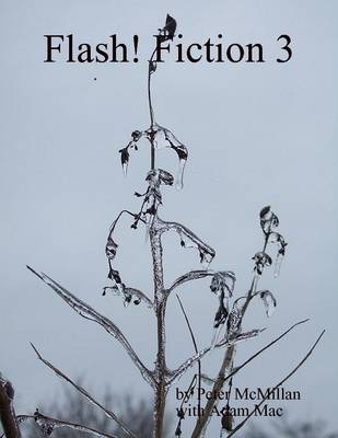 Book cover for Flash! Fiction 3