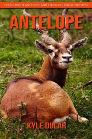 Cover of Antelope! Learn about Antelope and Enjoy Colorful Pictures