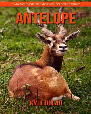 Book cover for Antelope! Learn about Antelope and Enjoy Colorful Pictures