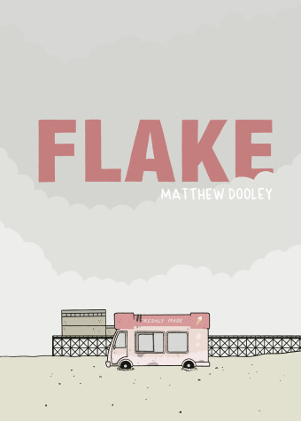 Book cover for Flake
