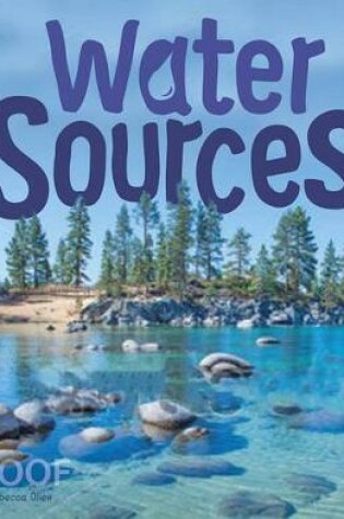 Cover of Water Sources (Water in Our World)