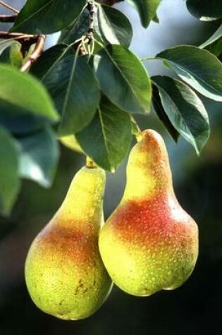 Cover of Pears on a Pear Tree Journal