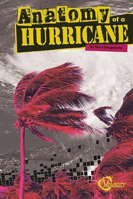 Book cover for Anatomy of a Hurricane