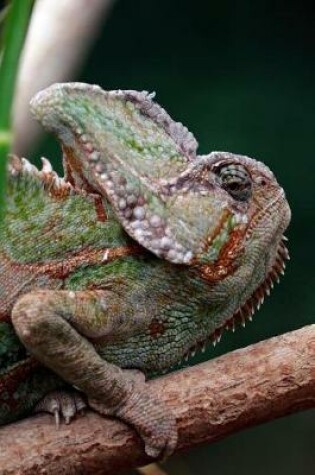 Cover of The Chameleon Is Not Amused Lizard Journal