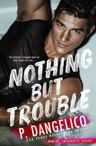 Cover of Nothing But Trouble