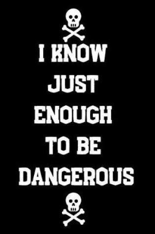 Cover of I Know Just Enough To Be Dangerous