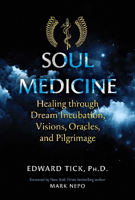Book cover for Soul Medicine