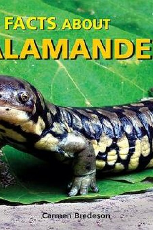 Cover of Fun Facts about Salamanders!