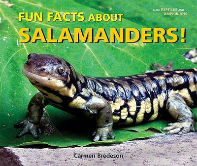 Book cover for Fun Facts about Salamanders!