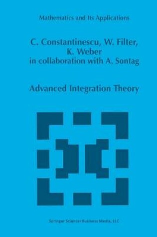Cover of Advanced Integration Theory