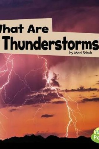 Cover of What are Thunderstorms? (Wicked Weather)