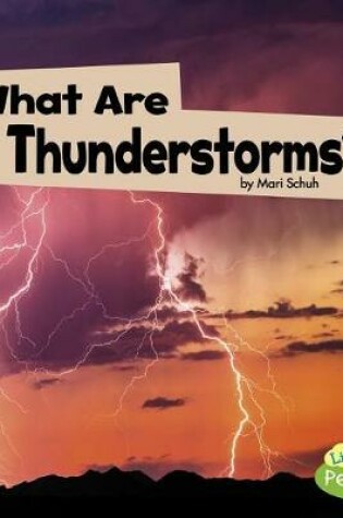 Cover of Wicked Weather What are Thunderstorms?