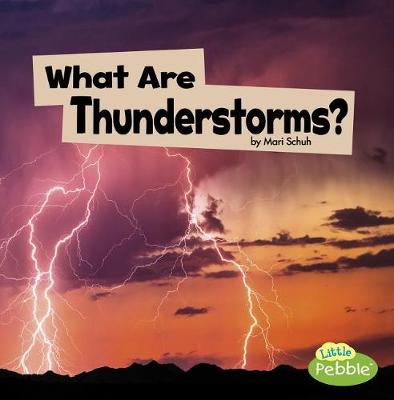 Book cover for What are Thunderstorms? (Wicked Weather)