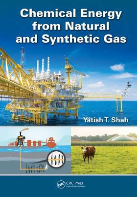 Cover of Chemical Energy from Natural and Synthetic Gas