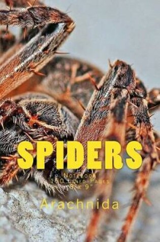 Cover of Spiders