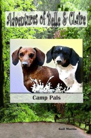 Cover of Adventures of Belle and Claire Camp Pals