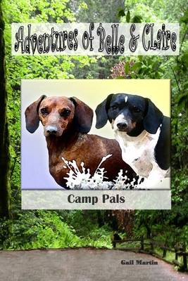 Book cover for Adventures of Belle and Claire Camp Pals