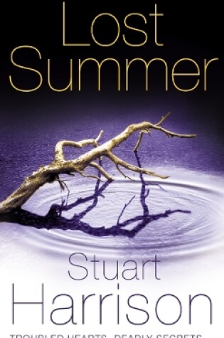 Cover of Lost Summer