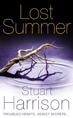 Book cover for Lost Summer