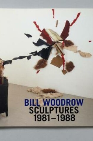 Cover of Bill Woodrow: Sculptures 1981-1988