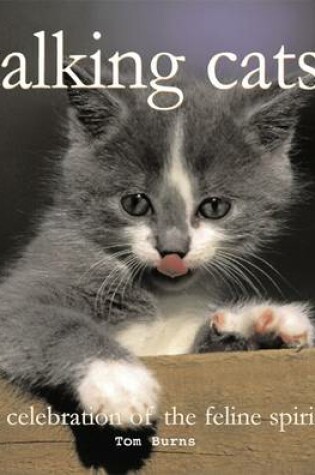 Cover of Talking Cats