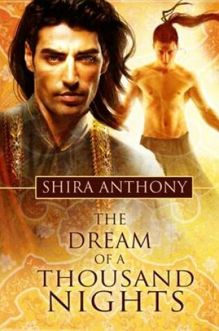 Cover of The Dream of a Thousand Nights