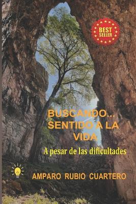 Book cover for Buscando... Sentido a la vida