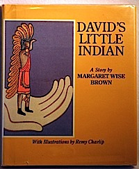 Book cover for David's Little Indian